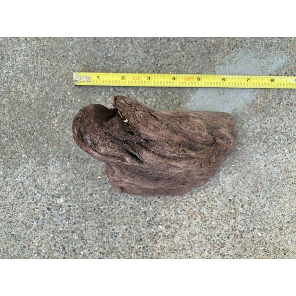 Ohio River Driftwood 6.5"x5"x3" - Picture 3 of 3